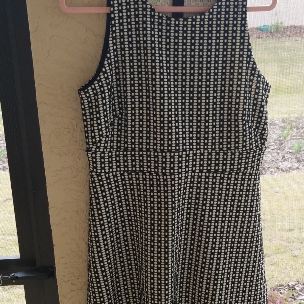 Loft fit and flare dress.